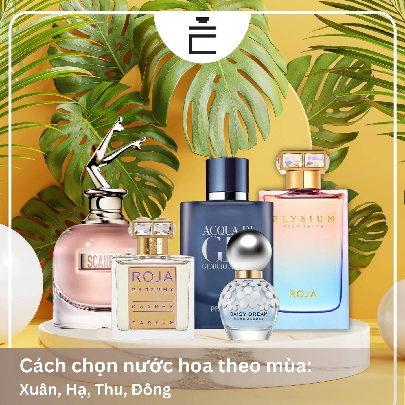 Cách chọn nước hoa theo 4 mùa: Xuân, Hạ, Thu, Đông